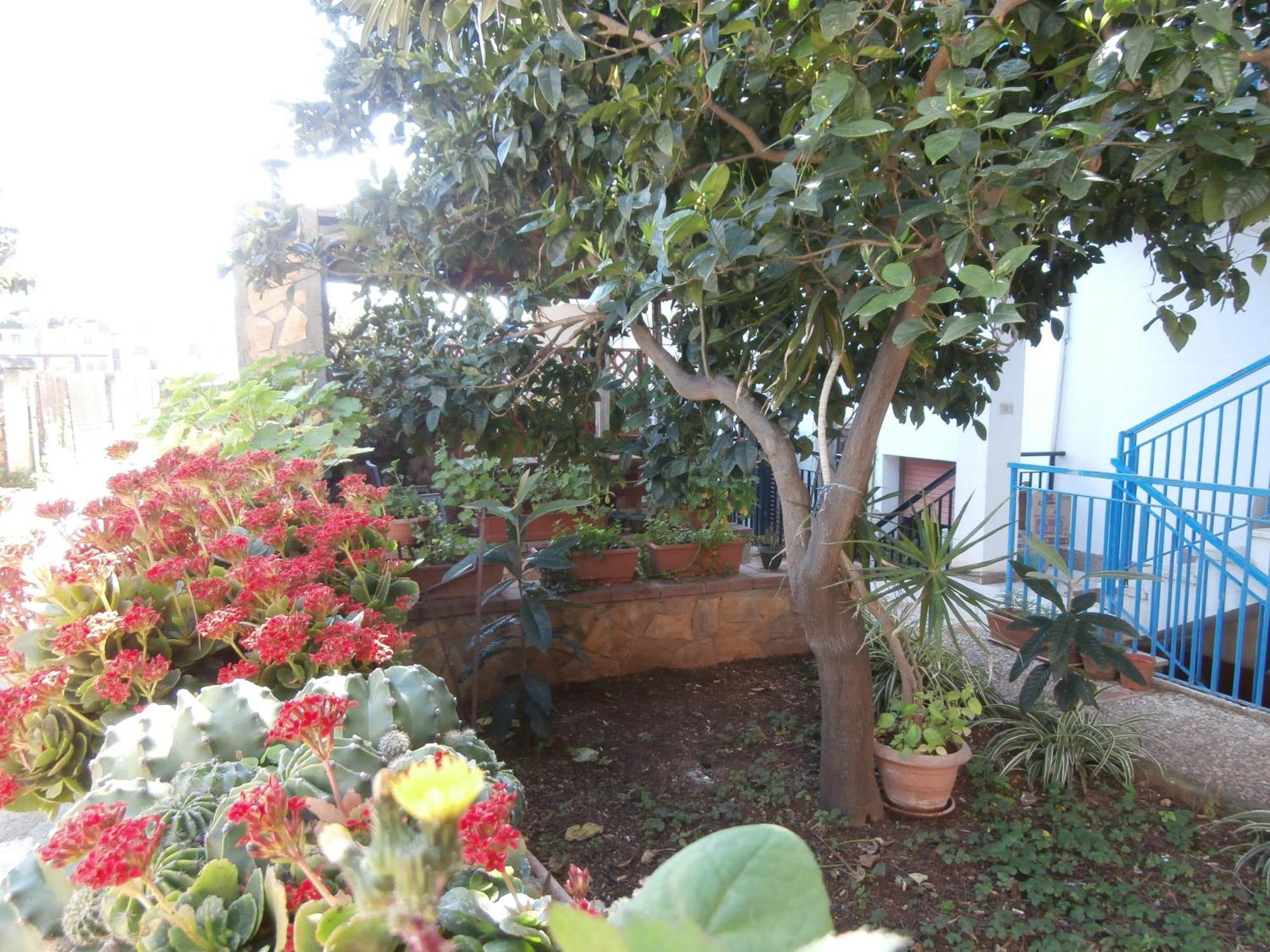 Busalacchi B&B Mondello Kültér fotó